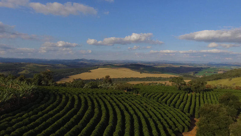 FAZENDA SALTO výberová káva